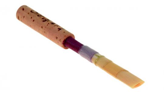 Caña de oboe: Mielnik 